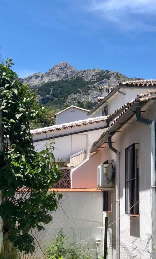 Apartamento La Parra Grazalema Bagian luar foto