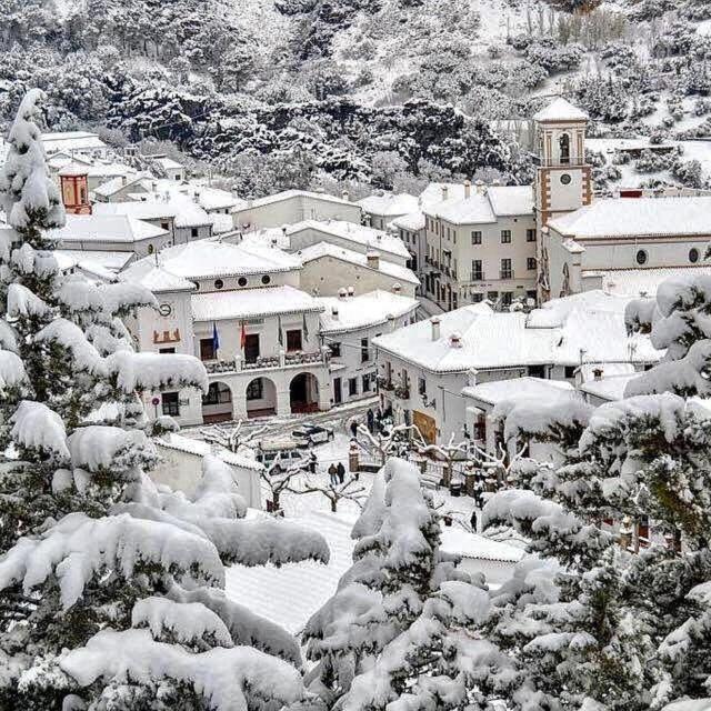 Apartamento La Parra Grazalema Bagian luar foto