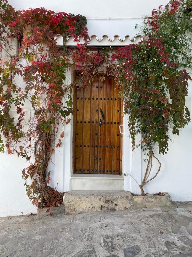 Apartamento La Parra Grazalema Bagian luar foto